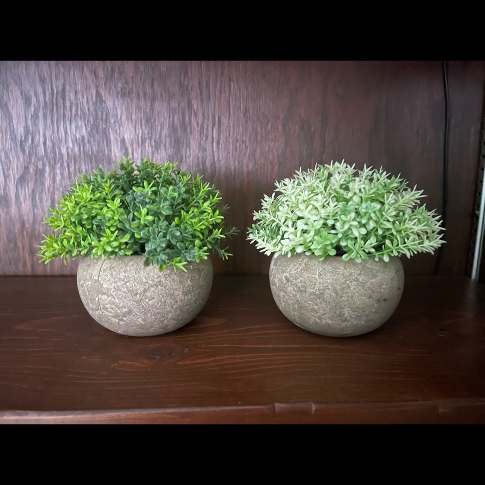 2 artificial potted plants
